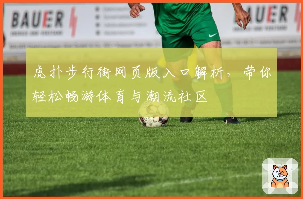 虎扑步行街网页版入口解析，带你轻松畅游体育与潮流社区