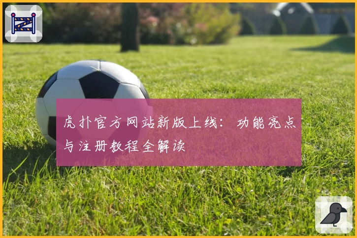 虎扑官方网站新版上线：功能亮点与注册教程全解读