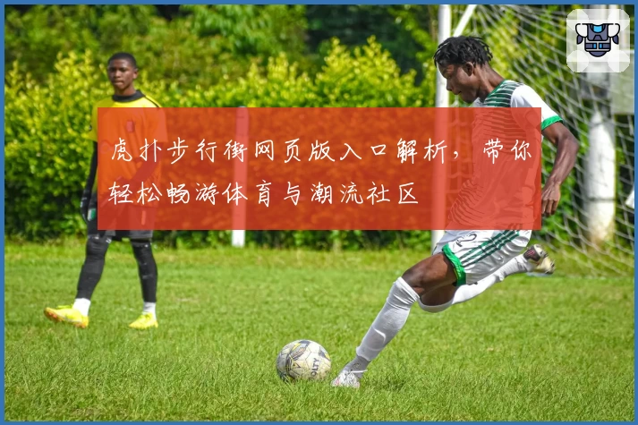 虎扑步行街网页版入口解析，带你轻松畅游体育与潮流社区