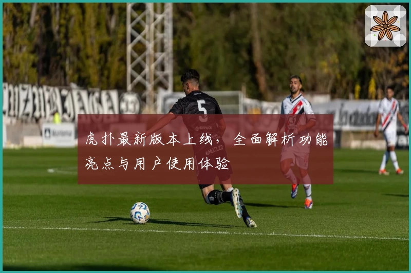 虎扑最新版本上线，全面解析功能亮点与用户使用体验