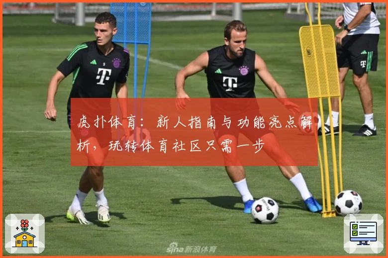 虎扑体育：新人指南与功能亮点解析，玩转体育社区只需一步